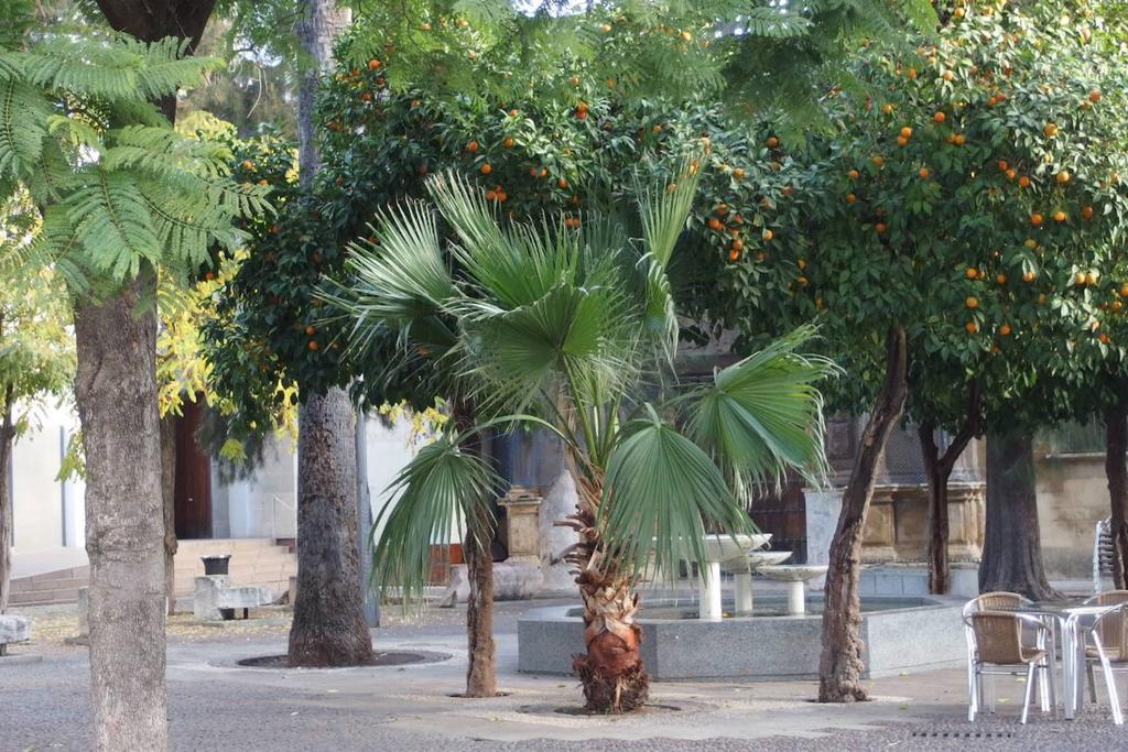 Centro Cordoba Apartaluz-8 Wifi Pk Luaran gambar